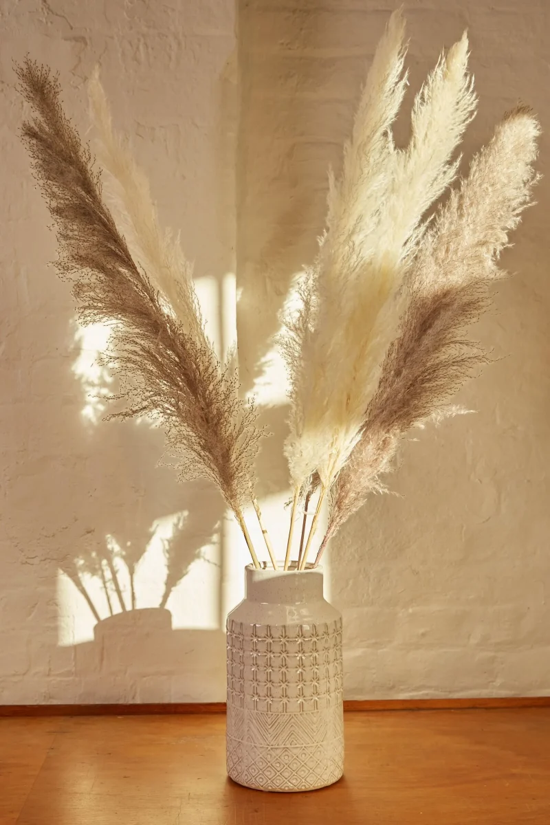 6 stem natural mink pampas grass set scaled