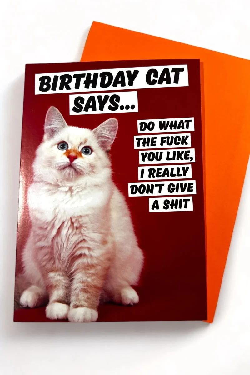 adorable birthday cat card