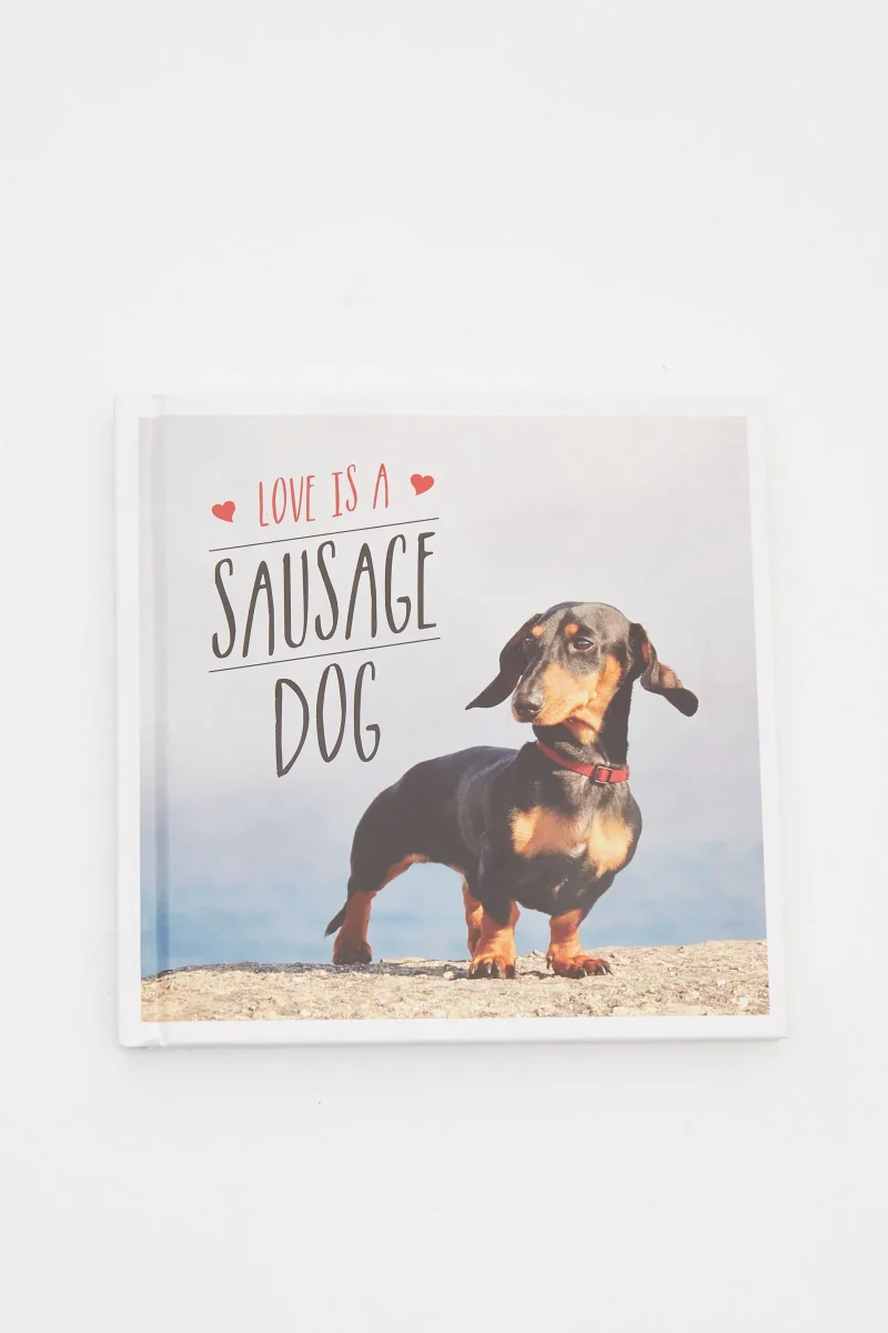 adorable sausage dog love design