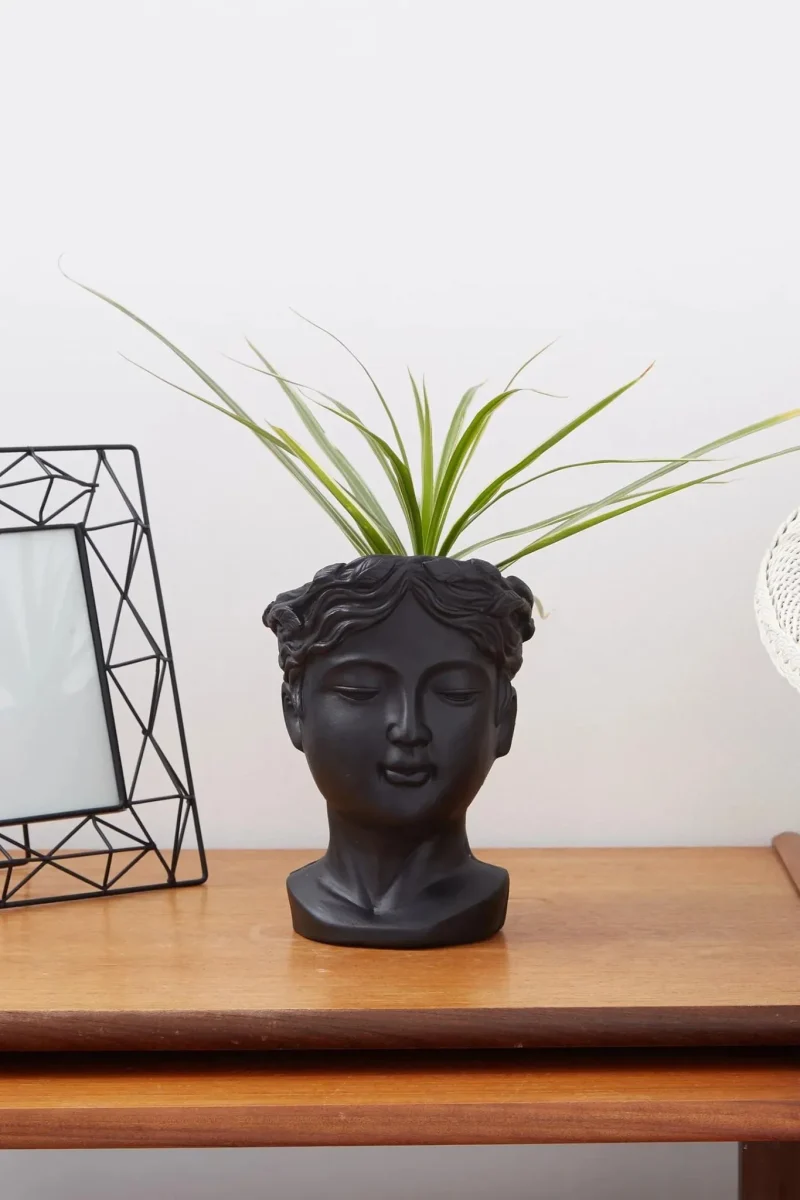 black medium venus head planter