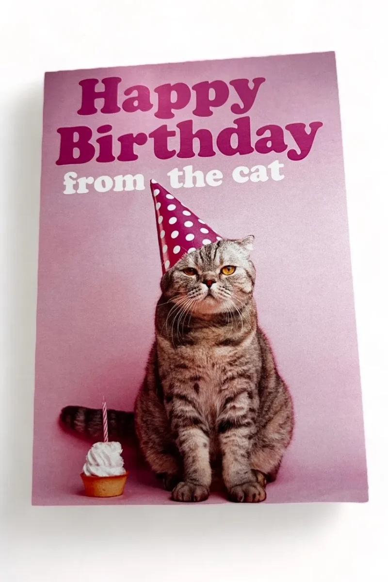 cat birthday card purr fectly fun greeting