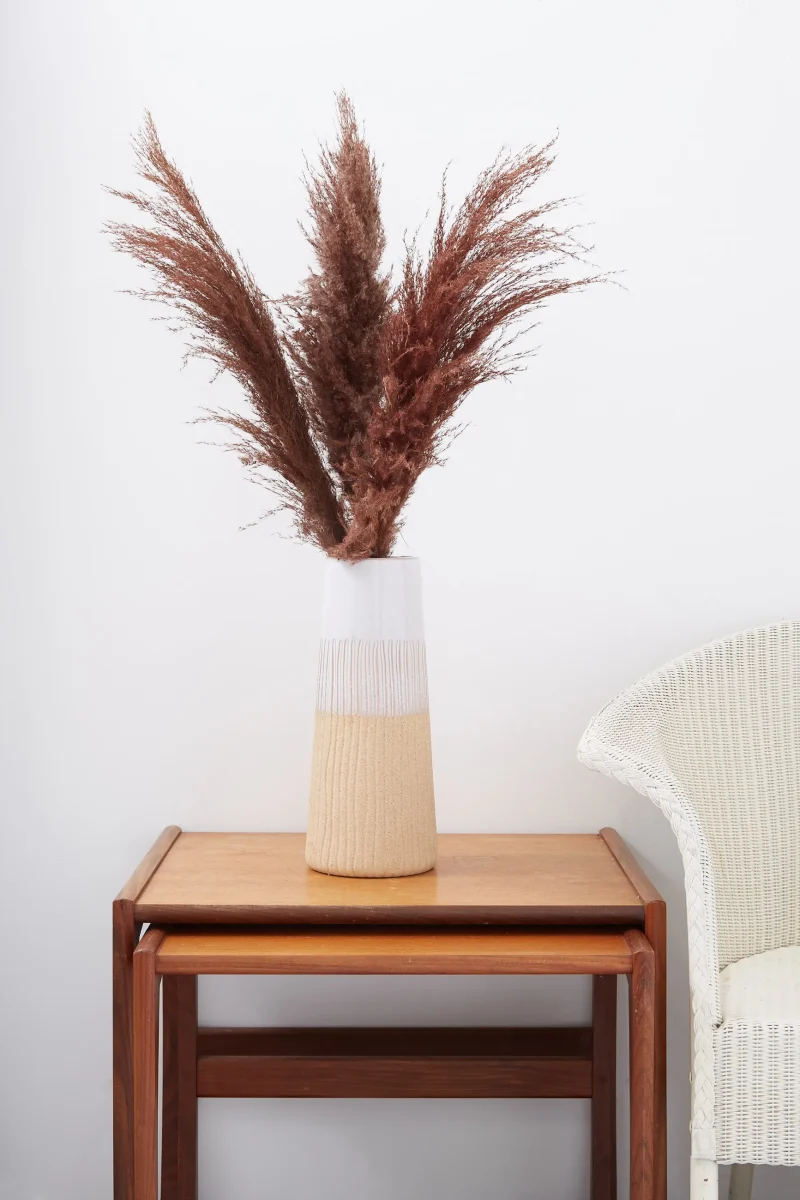 chocolate pampas grass 3 stem set scaled