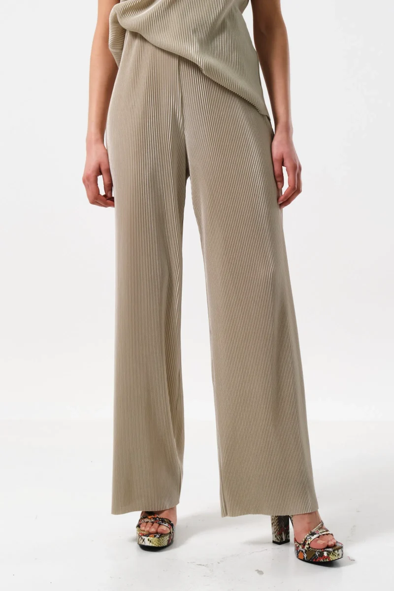 clothide stone pleated wide leg pants