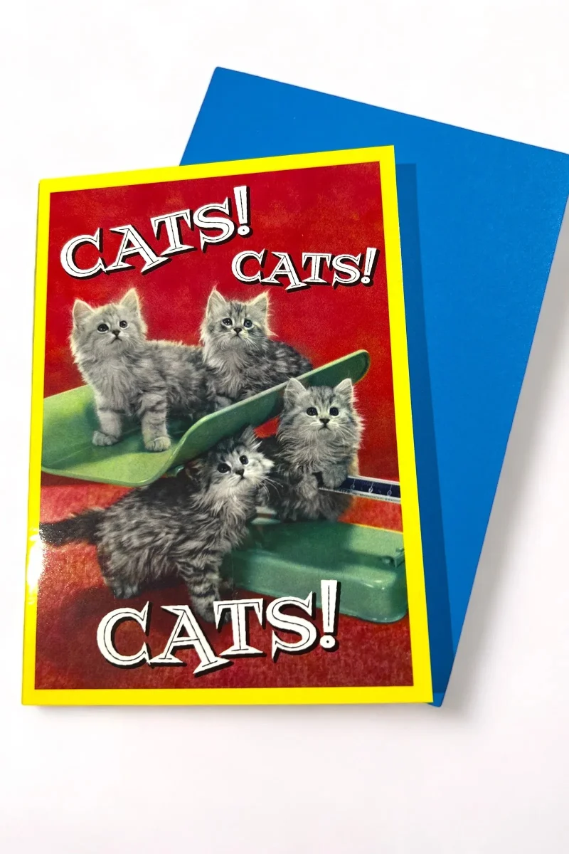 cute cat themed greeting card