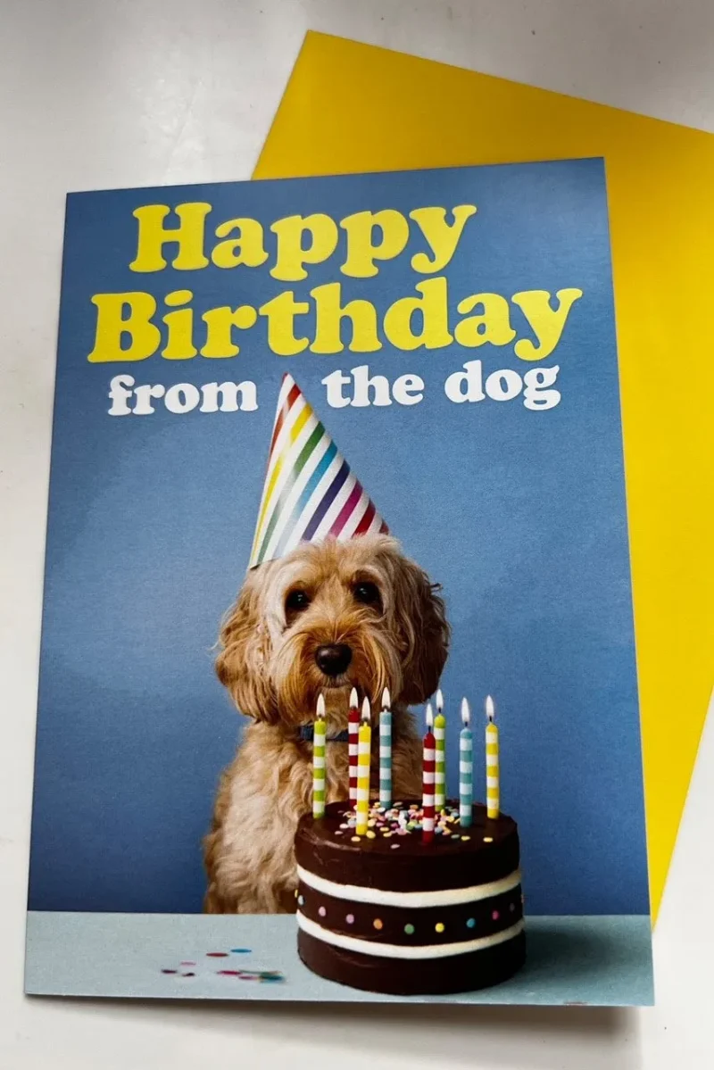 dog birthday card happy wishes from your furry friend