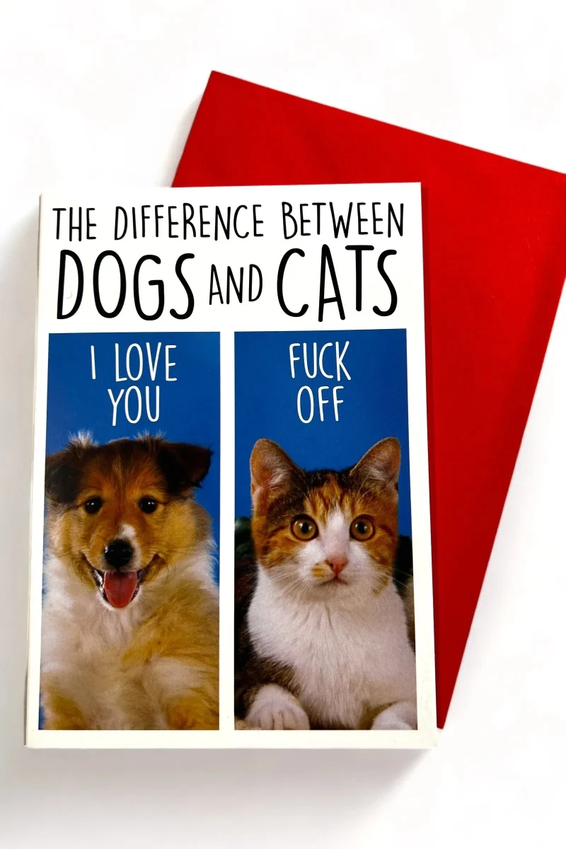 dogs vs cats card what sets them apart