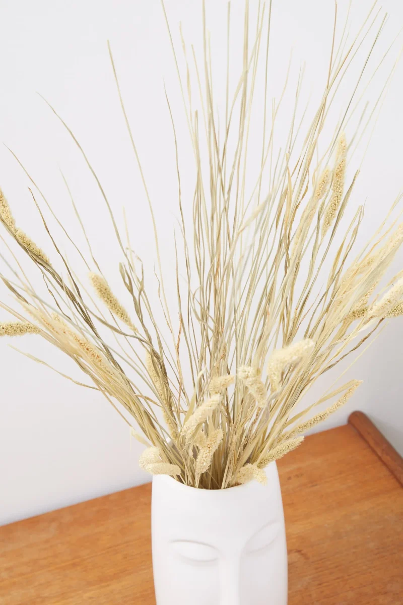 dried cats tail grass for cats scaled