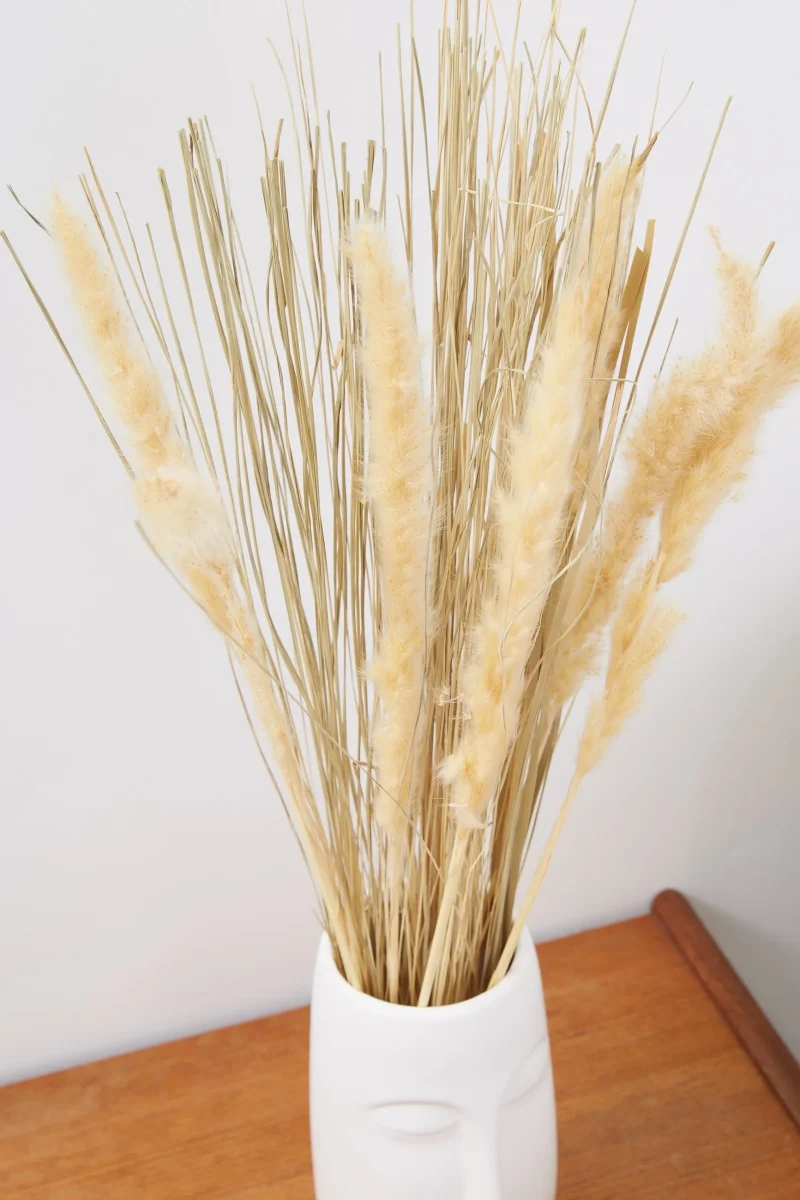 dried satin tail grass for aquariums scaled