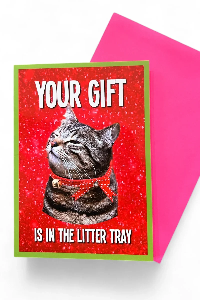 eco friendly litter tray christmas card gift