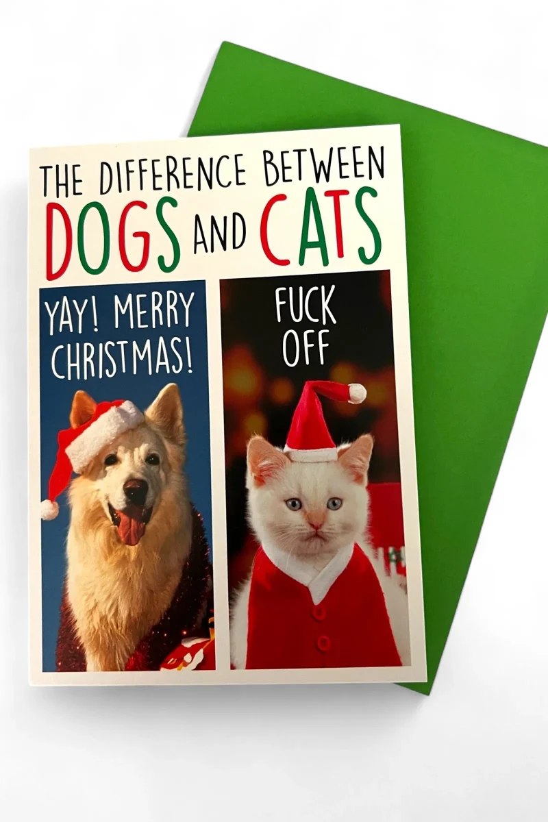 festive cats dogs christmas card