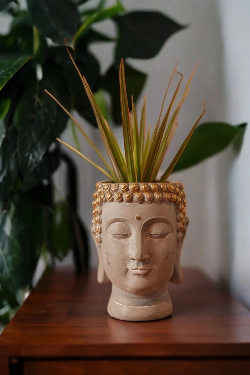 gold buddha head planter for home decor