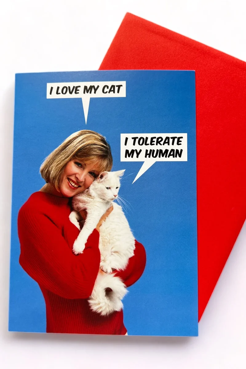 i love my cat greeting card