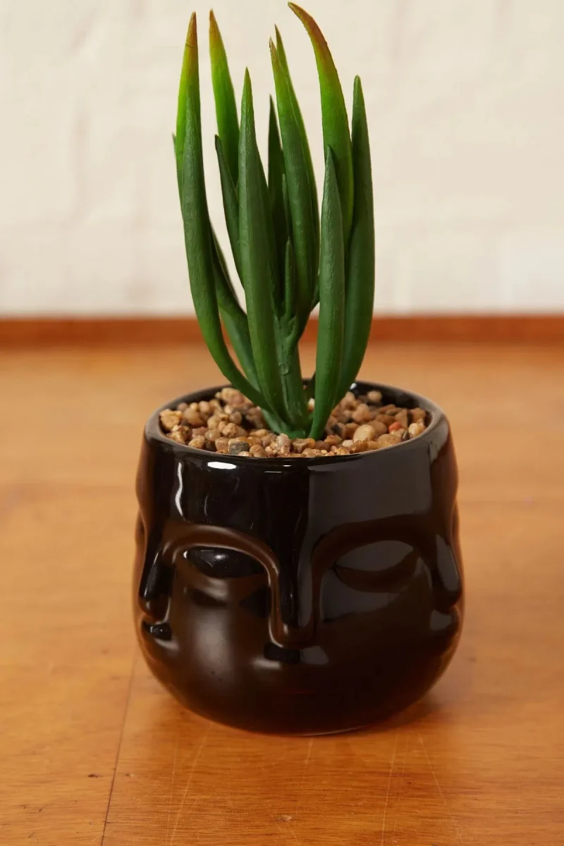 large black ceramic face planter with faux succulent