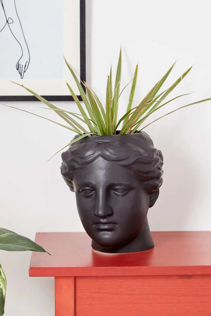 large black venus head planter scaled