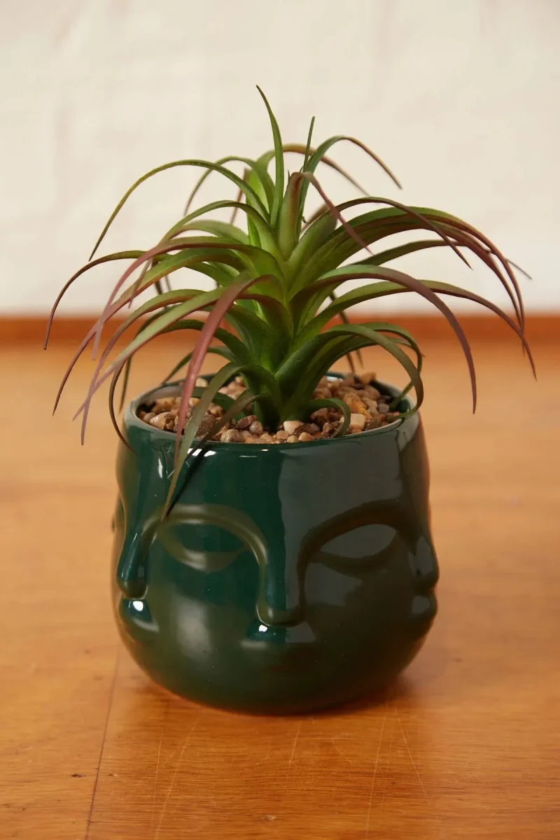 large teal ceramic face planter with faux succulent