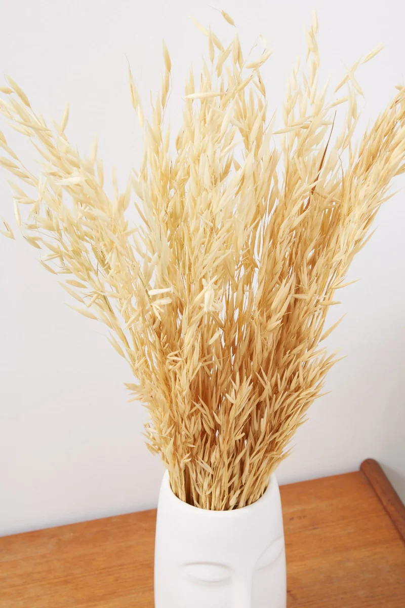 organic dried oat grass scaled