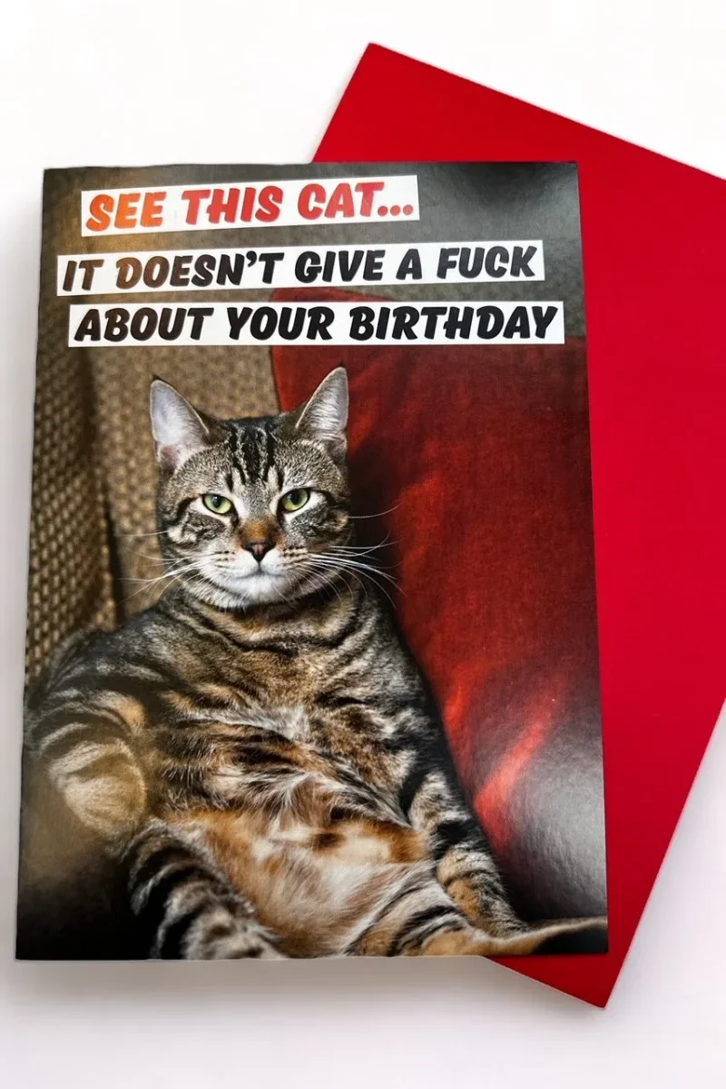 super cute cat birthday card