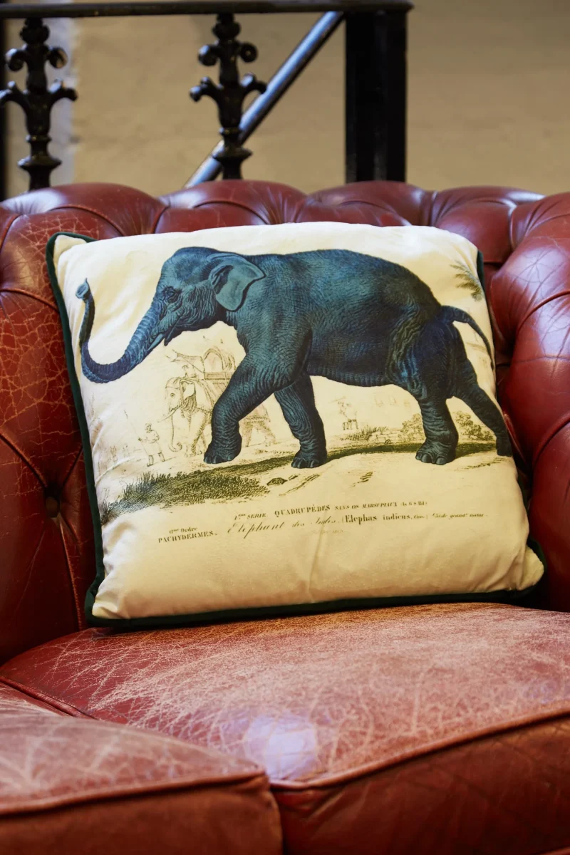 velvet elephant print cushion scaled