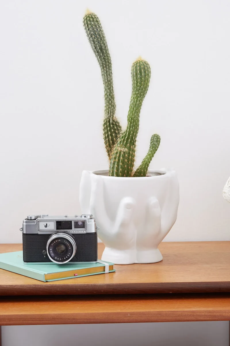 white hand planter for indoor gardening scaled