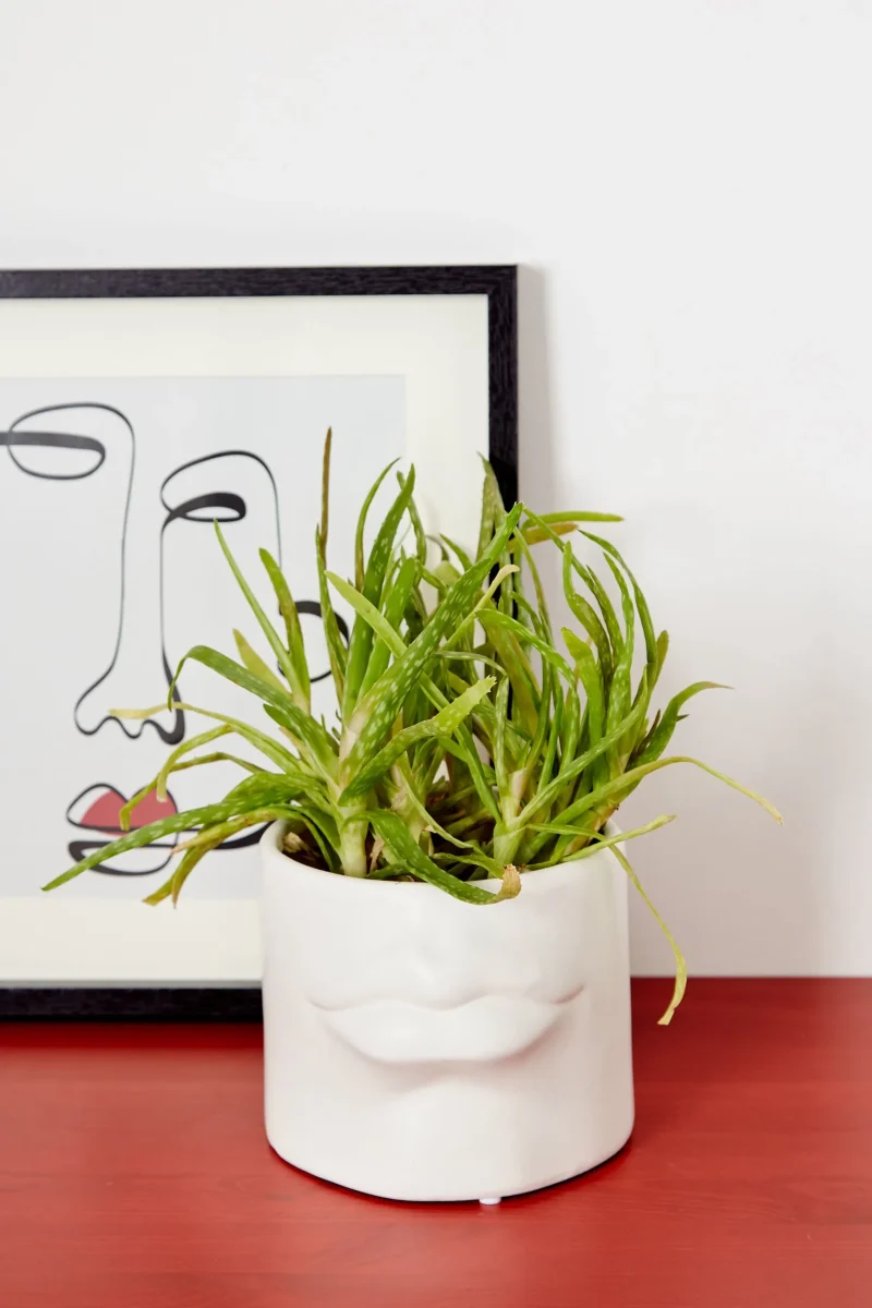 white relief lips planter scaled