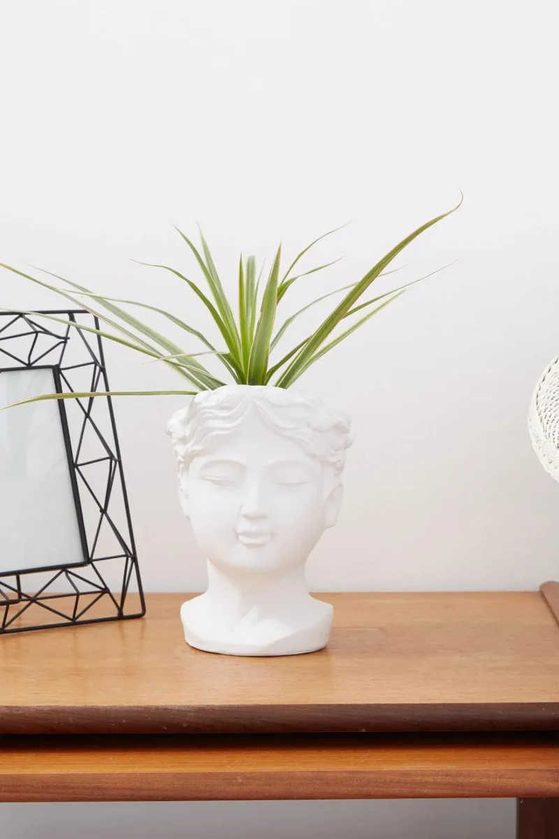 white venus head medium planter