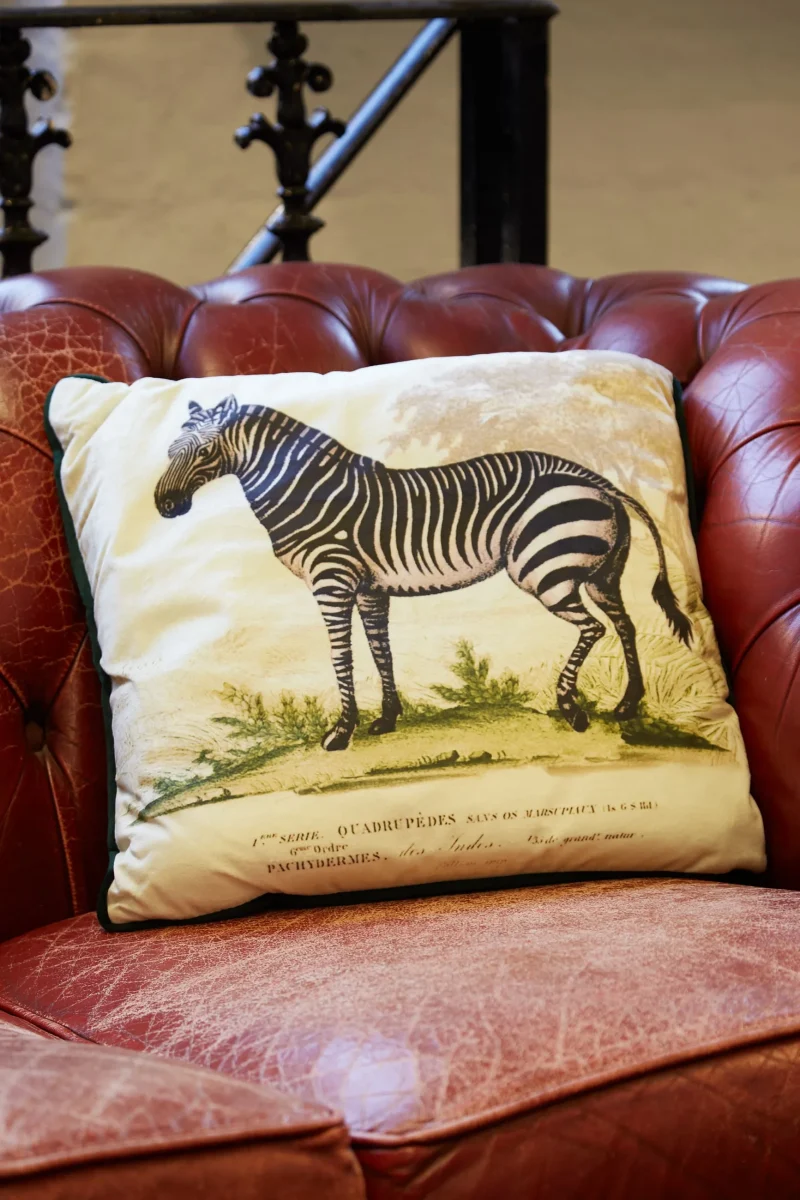 zebra print velvet decorative cushion scaled